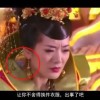 word免费版下载破解版